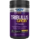 tribulus grow-600x600